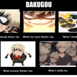 what Bakugou does | BAKUGOU | image tagged in what i really do | made w/ Imgflip meme maker