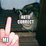 Please make it so that we can disable auto correct | AUTO CORRECT; ME | image tagged in e | made w/ Imgflip meme maker