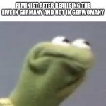 Gerwomany | FEMINIST AFTER REALISING THE LIVE IN GERMANY AND NOT IN GERWOMANY | image tagged in kirmets angry face | made w/ Imgflip meme maker