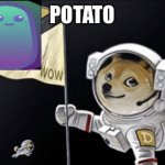 Potato