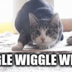 PArty | WIGGLE WIGGLE WIGGLE | image tagged in gifs,cats | made w/ Imgflip video-to-gif maker