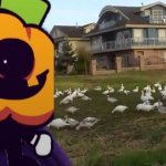 i got ispired by a video then made this | image tagged in look at all those chickens | made w/ Imgflip meme maker