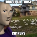 Look at All Those Chickens | L00K AT ALL THOSE; CH1K3NS | image tagged in look at all those chickens,stonks | made w/ Imgflip meme maker