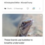 Nazi Trumper Scuba Lizard News Duo meme