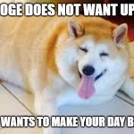 Thicc Doggo | THIS DOGE DOES NOT WANT UPVOTES HE JUST WANTS TO MAKE YOUR DAY BETTER : ) | image tagged in thicc doggo | made w/ Imgflip meme maker
