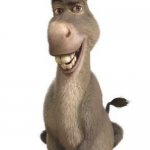 Donkey from Shrek | MUDBRAY IN SHREK | image tagged in donkey from shrek | made w/ Imgflip meme maker