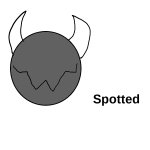 X spotted meme