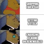 Winnnie the Pooh Elegant - Electric Vehicles | SHOPPING FOR A CAR; GETTING A TESLA; CHARGING AT HOME ON RENEWABLES | image tagged in winnie the pooh elegant x3,electric vehicles | made w/ Imgflip meme maker