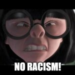 NO RACISM! | NO RACISM! | image tagged in edna incredibles | made w/ Imgflip meme maker