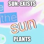 yes | SUN: EXISTS; PLANTS | image tagged in yes | made w/ Imgflip meme maker