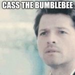 CastielSPN | CASS THE BUMBLEBEE | image tagged in castielspn | made w/ Imgflip meme maker