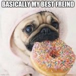 yeah basically | BASICALLY MY BEST FRIEND | image tagged in pug,donut | made w/ Imgflip meme maker
