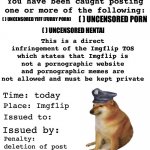 No Porn violation meme