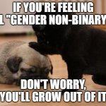 Twitter has so much to answer for.... | IF YOU'RE FEELING ALL "GENDER NON-BINARY"... DON'T WORRY, YOU'LL GROW OUT OF IT | image tagged in there there,twitter inventions,twitter,phases of life | made w/ Imgflip meme maker