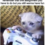 i only feel guilt when this happens | when your gaming and you remember that one assignment you have to do but you still wanna have fun | image tagged in sad cat xbox,memes,gaming,homework,school | made w/ Imgflip meme maker