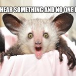 The terrified AYE AYE | WHEN YOU HEAR SOMETHING AND NO ONE IS AT HOME | image tagged in aye aye | made w/ Imgflip meme maker