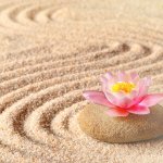 Zen Sand Garden & Lotus Flower
