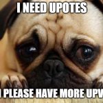 Sad Dog | I NEED UPOTES; CAN I PLEASE HAVE MORE UPVOTES | image tagged in sad dog | made w/ Imgflip meme maker