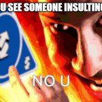 NO U | WHEN YOU SEE SOMEONE INSULTING PEOPLE: | image tagged in no u | made w/ Imgflip meme maker