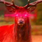 O-O | WHEN YOU BALLS DEEP AND SHE SAYS STEP TEASING. | image tagged in deer begone thot | made w/ Imgflip meme maker