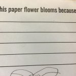 This paper flower blooms because