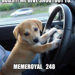 Shoutout!!! | HEY AWESOME MEMER GODS!!! ME GIVE SHOUTOUT TO... MEMEROYAL_248                                  THEY AWESOME PLS FOLLOW | image tagged in cute dog | made w/ Imgflip meme maker