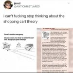 Shopping cart theory meme