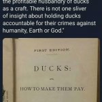 Ducks how to make them pay meme