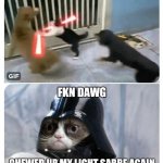 Damn dog | image tagged in dog,cats | made w/ Imgflip meme maker