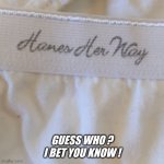 Any tips for a new username  ? | GUESS WHO ? I BET YOU KNOW ! | image tagged in panties | made w/ Imgflip meme maker
