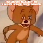the snake | THE SNAKE WHEN ADAM AND EVE ARE BLAMED FOR EATING THE FRUIT OF KNOWLEDGE | image tagged in tom and jerry meme | made w/ Imgflip meme maker