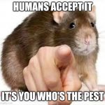 Pointing Rat | HUMANS ACCEPT IT; IT'S YOU WHO'S THE PEST | image tagged in pointing rat | made w/ Imgflip meme maker