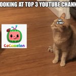 Cocomalone | ME LOOKING AT TOP 3 YOUTUBE CHANNELS:; WTF IS THIS? | image tagged in confused cat | made w/ Imgflip meme maker