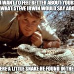 If you want to feel better about yourself | IF YOU WANT TO FEEL BETTER ABOUT YOURSELF, IMAGINE WHAT STEVE IRWIN WOULD SAY ABOUT YOU; IF YOU WERE A LITTLE SNAKE HE FOUND IN THE DESERT | image tagged in steve irwin,cheer up,funny memes,wildlife,feel good | made w/ Imgflip meme maker