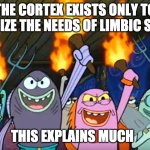 the real reason for thought | THE CORTEX EXISTS ONLY TO MAXIMIZE THE NEEDS OF LIMBIC SYSTEM; THIS EXPLAINS MUCH | image tagged in let's start a riot spongebob meme | made w/ Imgflip meme maker