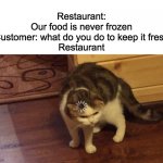 Cat buffering | Restaurant:
Our food is never frozen
Customer: what do you do to keep it fresh
Restaurant | image tagged in cat buffering | made w/ Imgflip meme maker