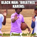 Karens be like: | BLACK MAN: *BREATHES*
KARENS: | image tagged in wow calm down jamal dont pull out the 9 | made w/ Imgflip meme maker