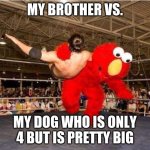 My Brother vs. My dog | MY BROTHER VS. MY DOG WHO IS ONLY 4 BUT IS PRETTY BIG | image tagged in elmo tackle | made w/ Imgflip meme maker