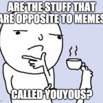 Actually it might be true lmao | ARE THE STUFF THAT ARE OPPOSITE TO MEMES; CALLED YOUYOUS? | image tagged in thinking meme,meme,opposite of meme is youyou,stopreadingthesetags | made w/ Imgflip meme maker