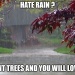 Rain | HATE RAIN ? PLANT TREES AND YOU WILL LOVE IT | image tagged in rainy day,fun,nature,tree,climate change,feelings | made w/ Imgflip meme maker