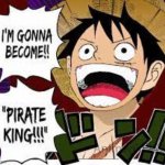 pirates | image tagged in luffy | made w/ Imgflip meme maker