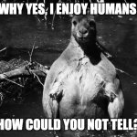 He's a chad after all... | WHY YES, I ENJOY HUMANS; HOW COULD YOU NOT TELL? | image tagged in chad kangaroo | made w/ Imgflip meme maker