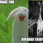 Here ya go | AVERAGE FAN; AVERAGE ENJOYER | image tagged in average fan vs enjoyer animal style | made w/ Imgflip meme maker