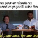 The Office Stop. Come Back. | When your ex cheats on you and says you'll miss them. | image tagged in the office stop come back | made w/ Imgflip meme maker