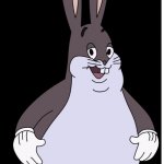 Big chunga | ROSES ARE RED... VIOLETS ARE BLUE... BIG CHUNGUS IS COMING FOR YOU | image tagged in johanna | made w/ Imgflip meme maker