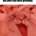 When the trees start speaking | When you paused cod zombies but your still here groaning | image tagged in when the trees start speaking,cat memes,yelling,dank memes,funny,gifs | made w/ Imgflip meme maker