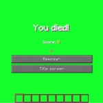 Minecraft "You died!" Screen