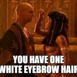 One white eyebrow hair | YOU HAVE ONE WHITE EYEBROW HAIR | image tagged in imhotep and anck-su-namun,memes,imhotep,mummy | made w/ Imgflip meme maker