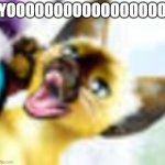 yoooooooo | YOOOOOOOOOOOOOOOOO | image tagged in yoooooooo | made w/ Imgflip meme maker