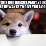 Good day | THIS DOG DOESN'T WANT YOUR UPVOTES HE WANTS TO GIVE YOU A GOOD DAY | image tagged in cute dog | made w/ Imgflip meme maker